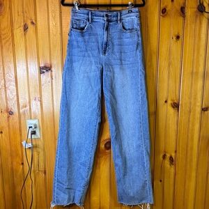 Hidden Los Angeles Wide Leg Jeans with Frayed Ends